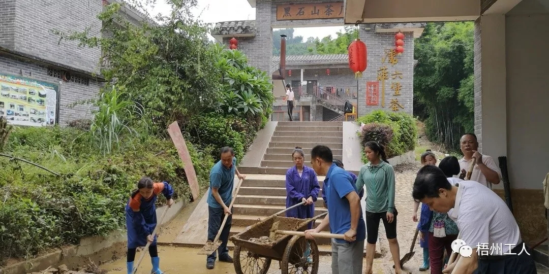 工會為六堡鎮(zhèn)茶農(nóng)災后恢復生產(chǎn)注入活力