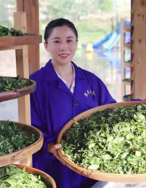 【梧州工匠】石濡菲：擇一茶，修一技，終一生
