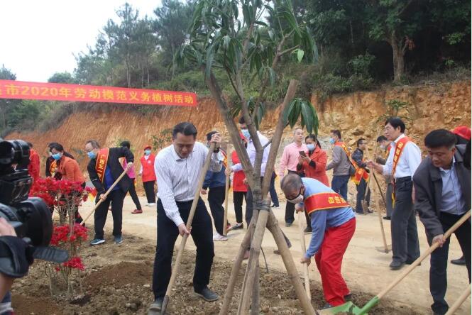 植樹造林，這群楷模這樣做