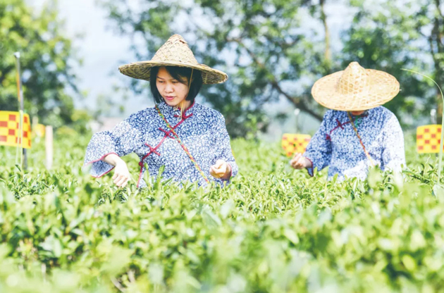 國家批復(fù)同意，梧州籌建！