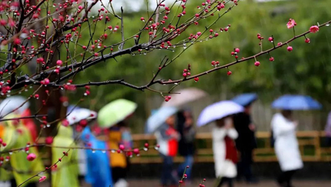 今日雨水！別忘了咱的老講究！