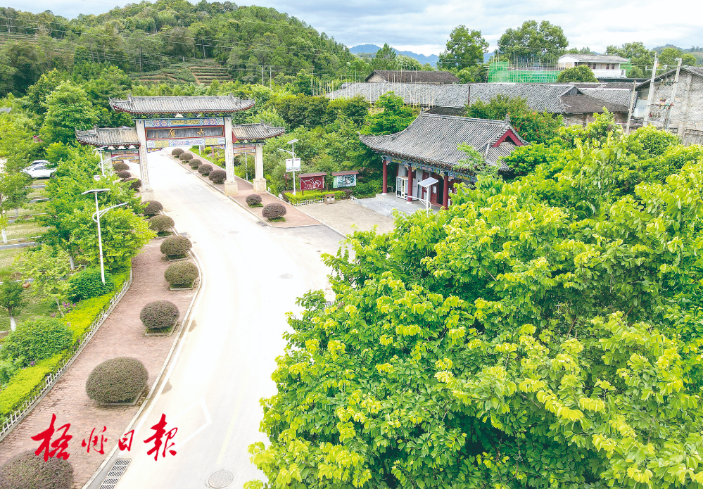 梧州全市生態(tài)茶園面積達(dá)33.34萬畝！