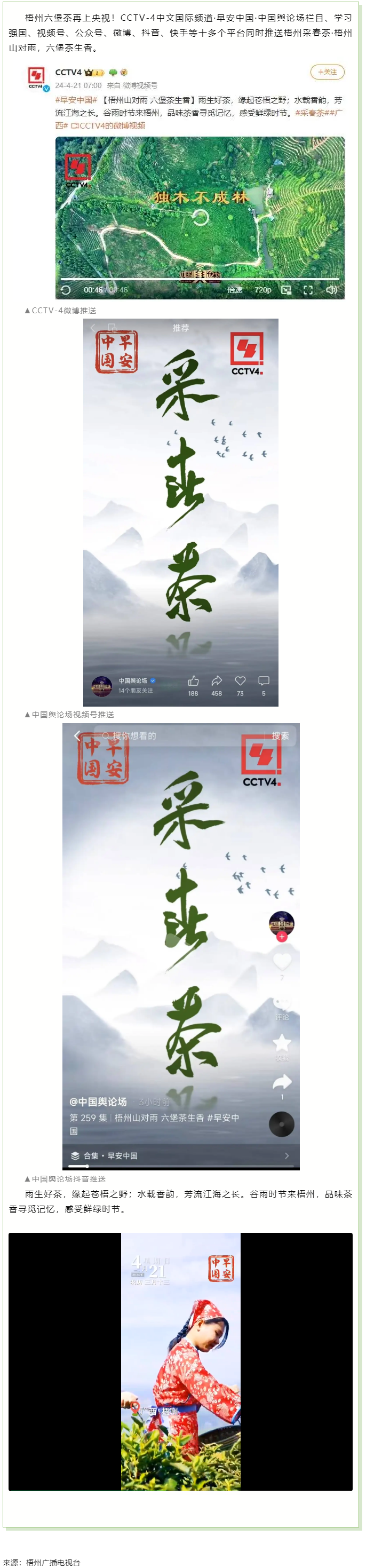 央視、學習強國等十多個平臺同時推送梧州采春茶·梧州六堡茶.png