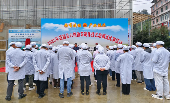 2025年蒼梧縣六堡油茶制作技藝培訓(xùn)及比賽活動圓滿落幕！