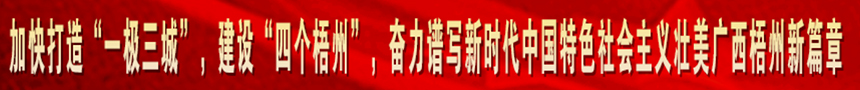 加快打造“一級(jí)三城市”，建設(shè)“四個(gè)梧州”，奮力譜寫(xiě)新時(shí)代中國(guó)特色社會(huì)主義壯美廣西梧州新篇章